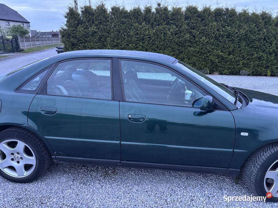 Audi a4 b5 19 tdi 110 Pstrążna