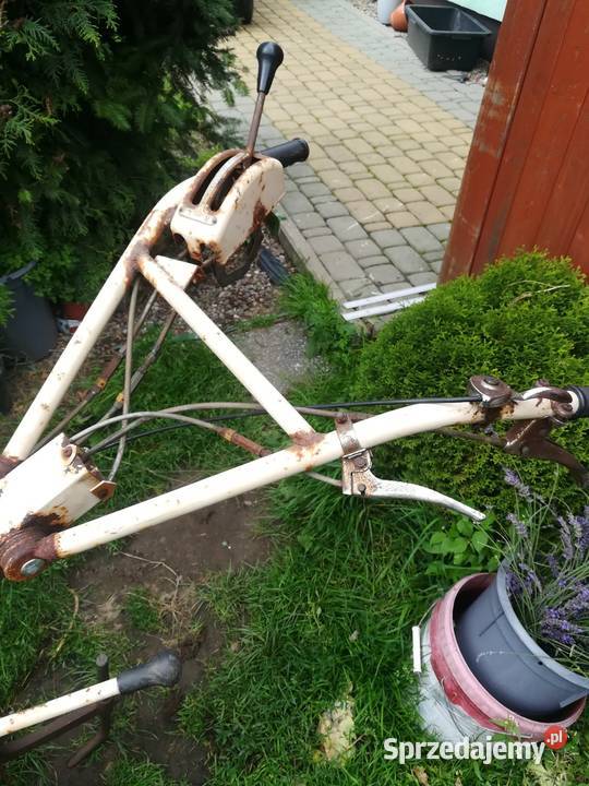 Glebogryzarka dzik firmy Honda