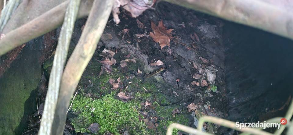 Lepik smoła 400litrów kociołek Przywidz