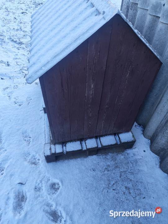 Buda psa duża Proszowice