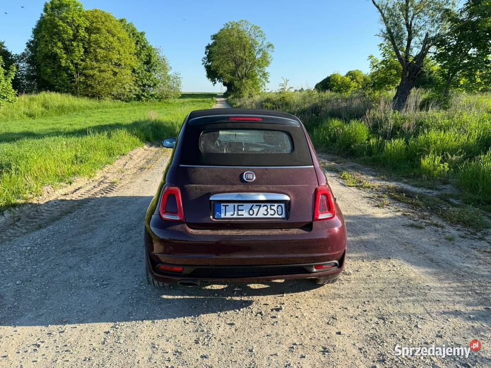Fiat 500c 2019 31 świętokrzyskie Sędziszów
