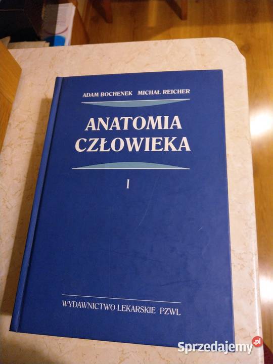 Anatomia człowieka autorzy Adam Bochenek Michał Książki naukowe i popularnonaukowe Cieszyn