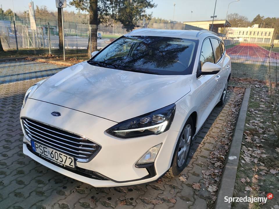 Ford Fokus biały Tulce