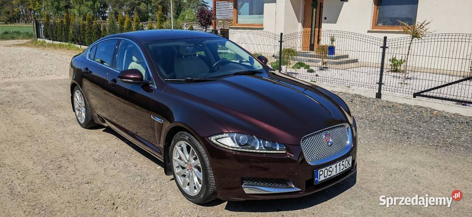 Jaguar XF 22 Diesel Ostrów Wielkopolski