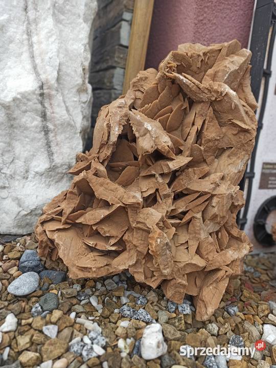 Róża Pustyni Kamień do akwarium bryła do ogrodu