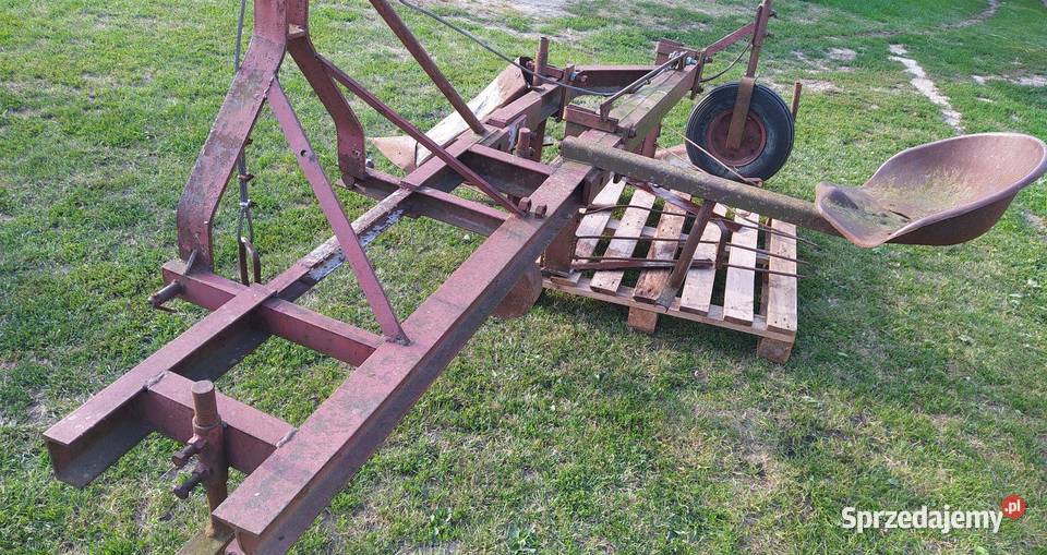 Ścinarka kosiarka do fasoli lubelskie Horodło