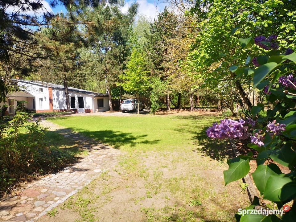 Duża działka 1526m2 z domem 75m2 w Owczegłowy Rok budowy 1999