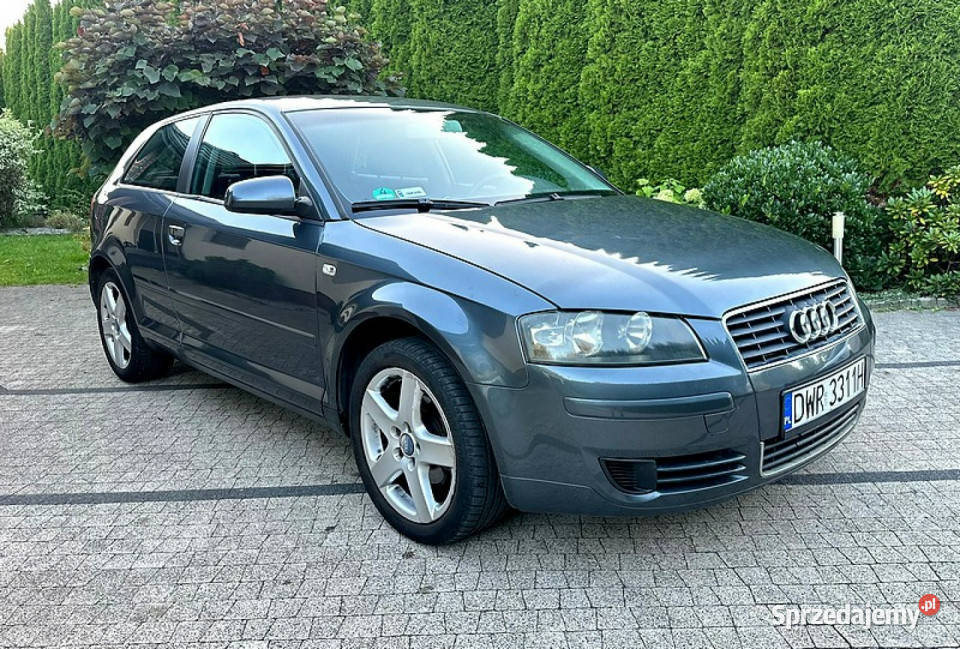 Audi A3 3drzwiowe Audi A3 8p 16MPI 101 Ładna Rok produkcji 2005 sprzedam