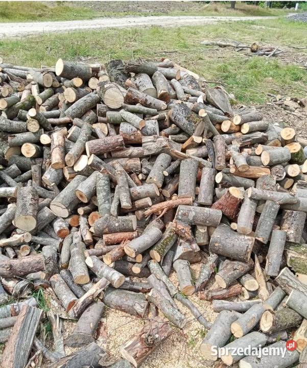 Gałęziówka i Drewno Kominkowe Buk Dąb Grab Świebodzin