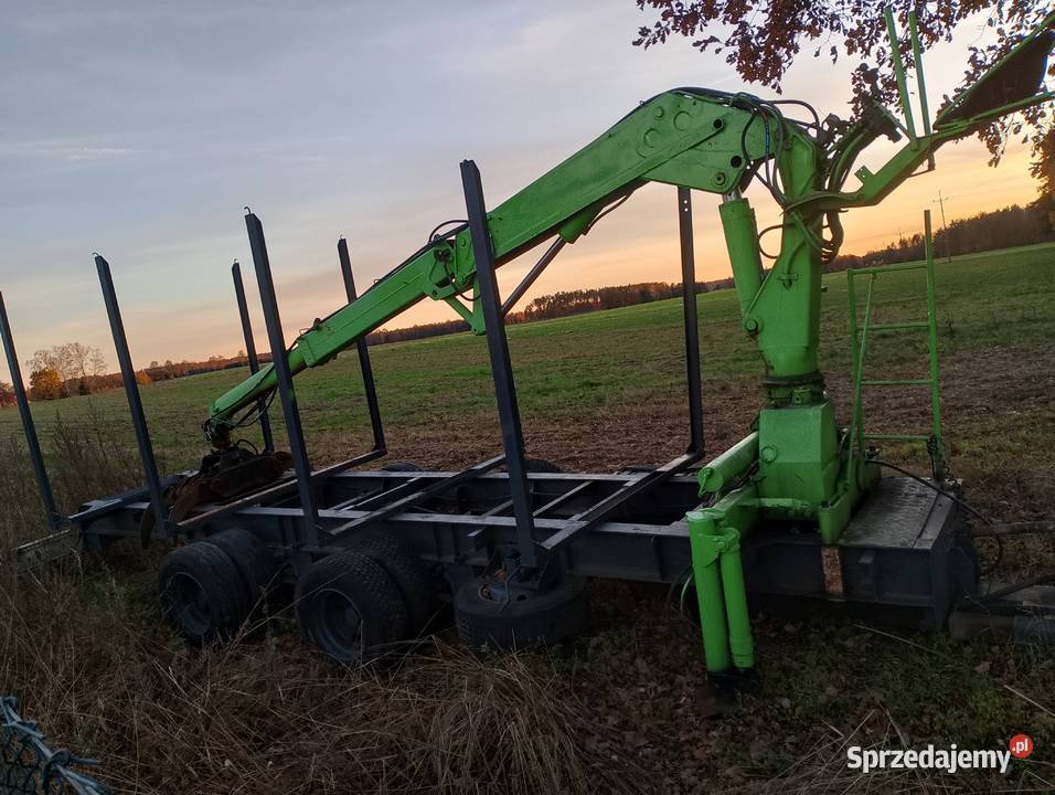 Przyczepa wielkopolskie Brzozówka