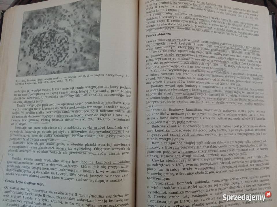 Podręcznik Histologii TPawlikowska MKarasek Zawiercie