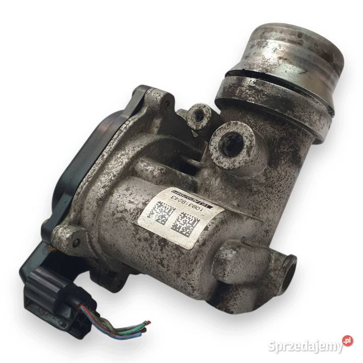 PRZEPUSTNICA Renault Mercedes 15 dCi 161A09794R Chełm