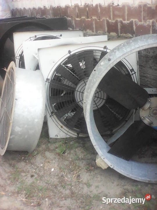 grzałka elektryczna Pozostałe Toruń