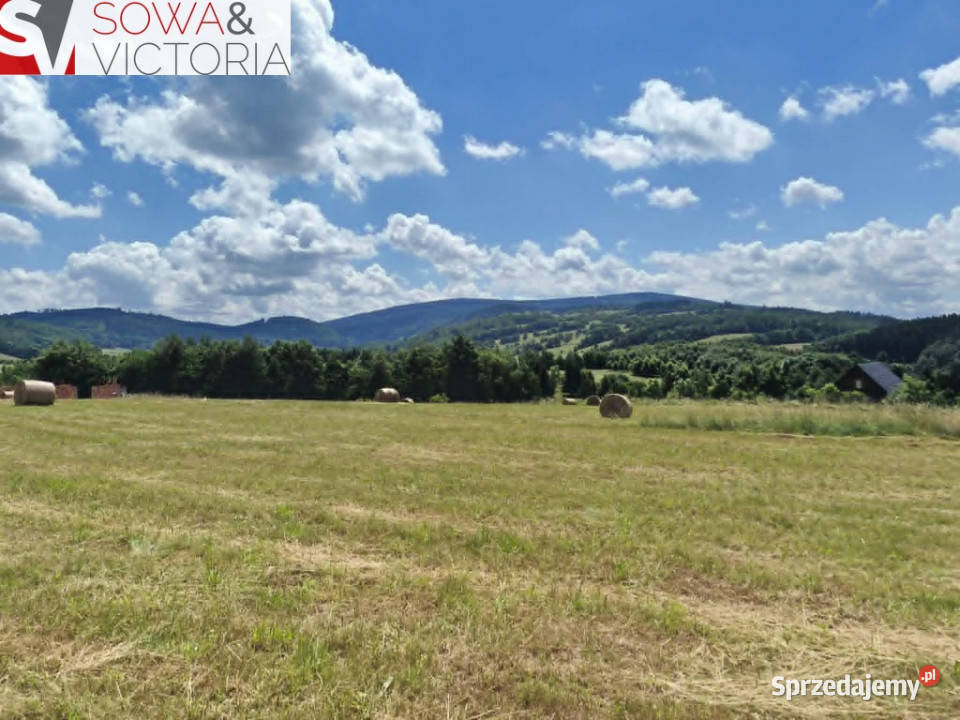 Piekna panorama utwardzona Michałkowa