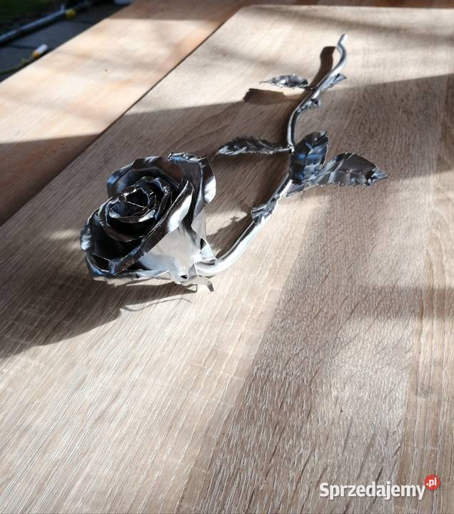 Stalowa róża wieczna róża inny kolor Wrocław