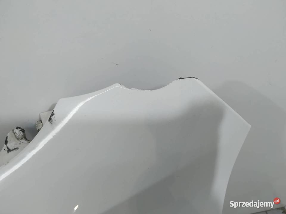 BŁOTNIK LEWY PRZÓD LIFT A300 SPRYSKIWACZ Bmw X6 osobowe Błotniki świętokrzyskie