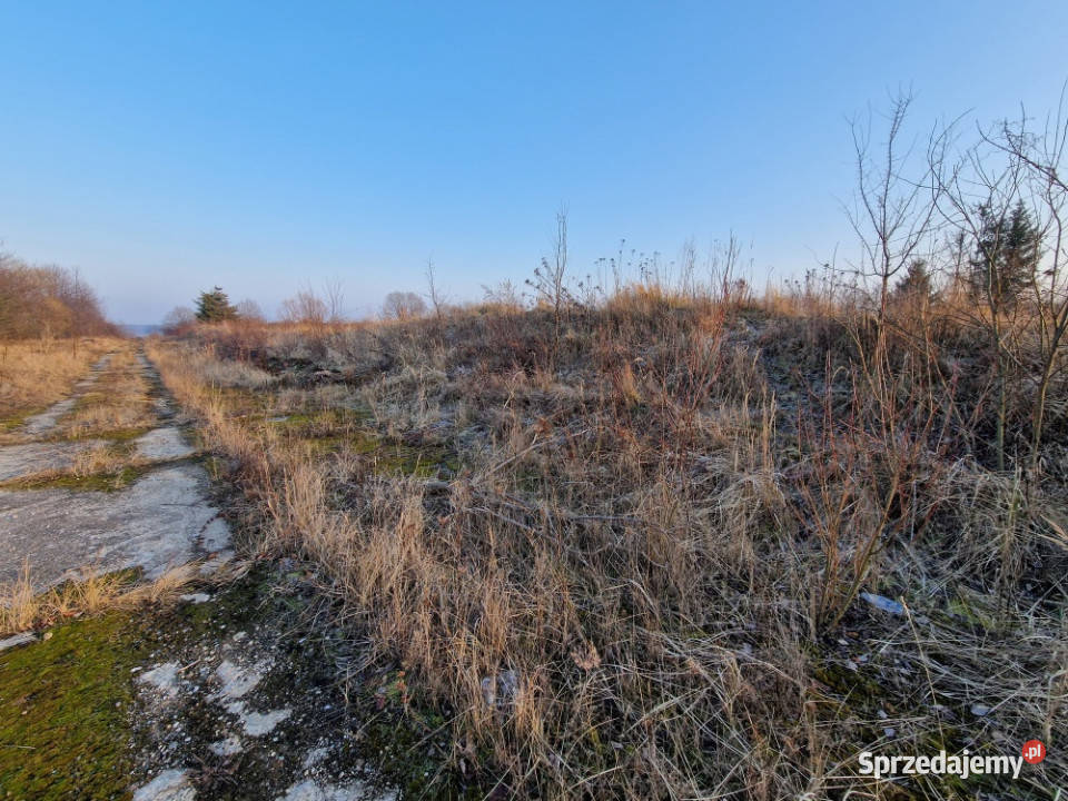Nieruchomość na sprzedaż Sprzedaż Kamiennik sprzedam