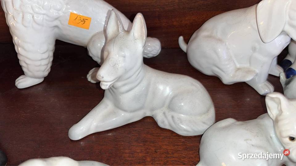 Piesek leżący biały Figurka porcelanowa Śliczny Gdańsk