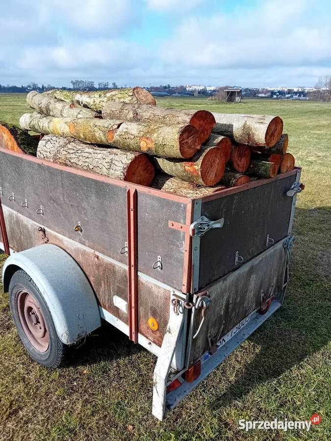 Przyczepka Paul Rok produkcji 1991