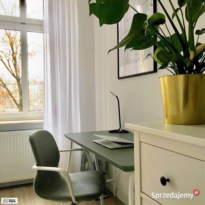 2pok 50met Parku Tołpy PIWNICA Wrocław