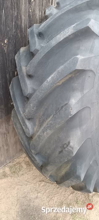 Koło Bizon ZO 56 23126 łódzkie Wieruszów