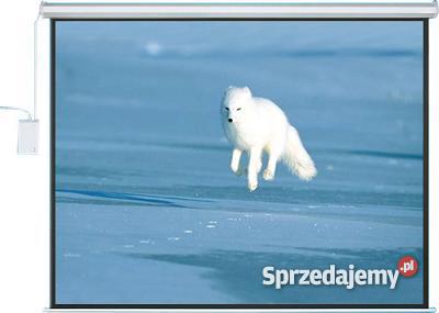 Projektor 3D HD Ekran 100 169 Orsk