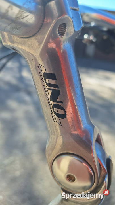 Rower Unibike Vision 28 Trekkingowe Poznań