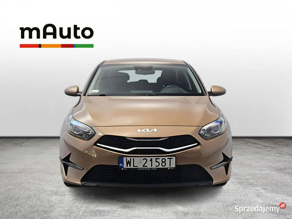 Kia Ceed 15 TGDI M Z Polskiego Salonu Faktura manualna Warszawa