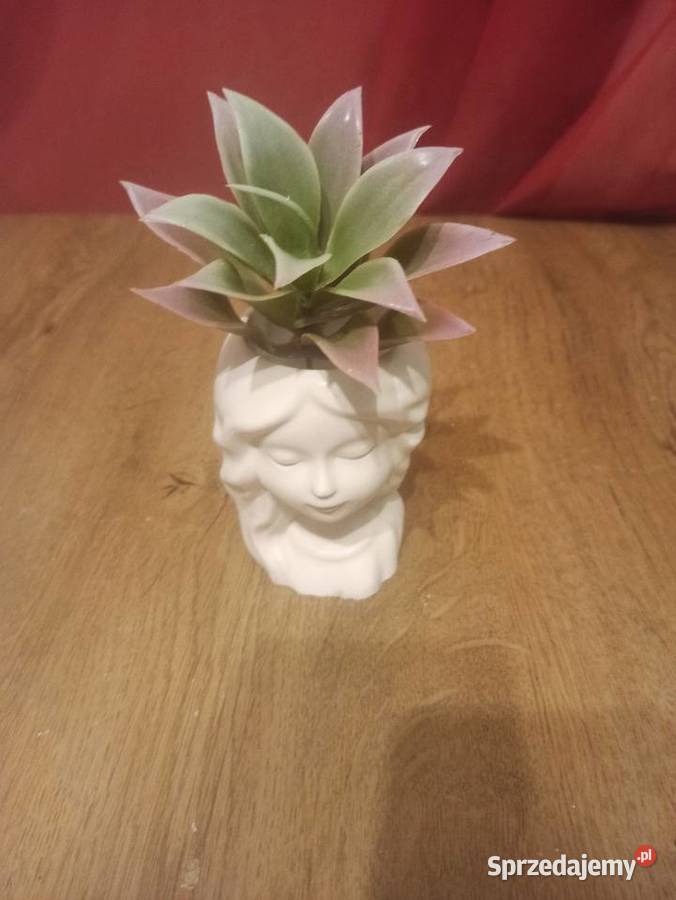 Mini doniczka Przeworsk