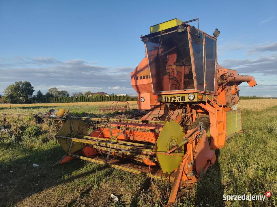 Dronningborg d1250 Rawa Mazowiecka