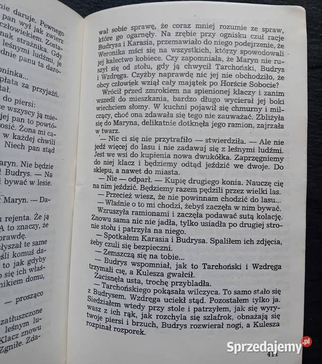Zbigniew Nienacki Wielki las PIW 1987 r Wydanie Rok wydania 1987 Kultura i Rozrywka