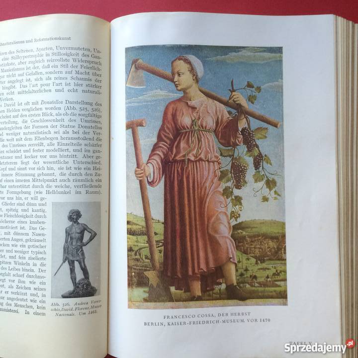 Geschichte der Kunst zachodniopomorskie Szczecin sprzedam