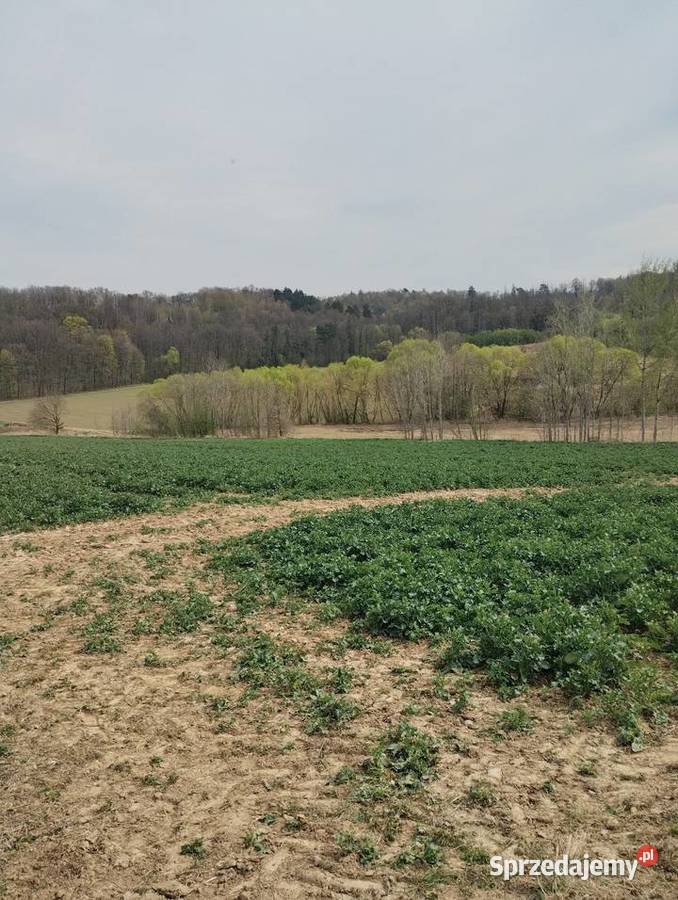 Grunty rolne opolskie Koperniki