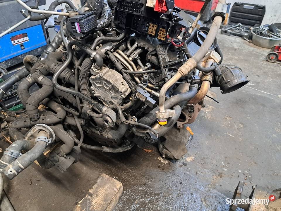 SILNIK 20 TDI CAHA AUDI A4 A5 A6 Bolesławiec