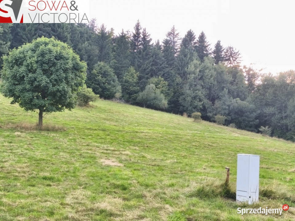 Działka na dom rekreacji indywidualnej ze stawem Walim