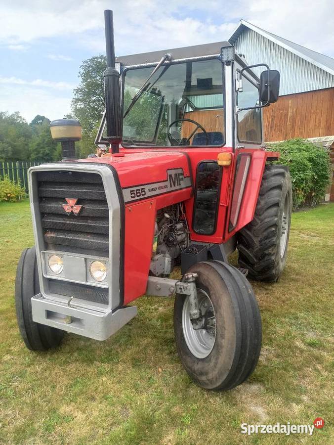 Massey ferguson 565 podkarpackie Ruda Różaniecka