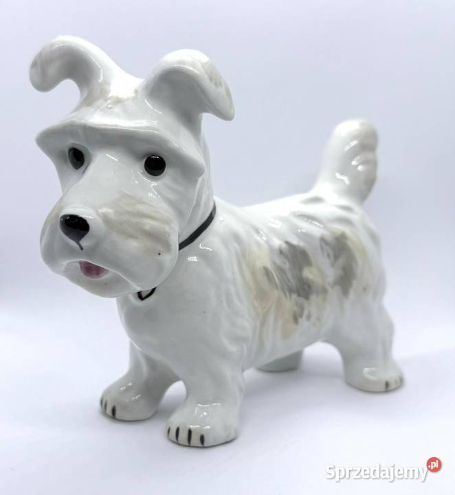 Figurka pies Terier Szkocki porcelana Alba IULIA Kraków sprzedam