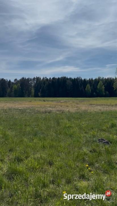 Działka Płazów Roztocze podkarpackie