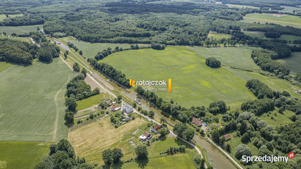 Działka 6951m2 Krasin 6951m2 sprzedam