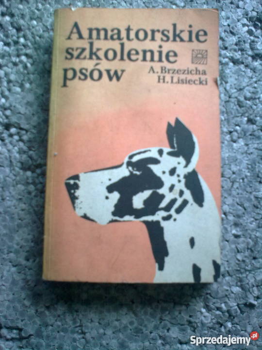 amatorskie szkolenie psow Bytom