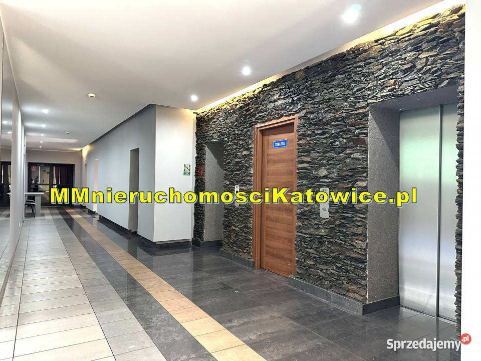 Biura do wynajęcia Katowice Szopienice duży