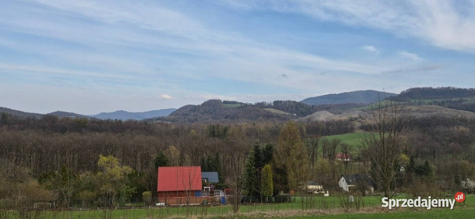Działka budowlana pod lasem 2873m2 Sprzedaż Dzięgielów