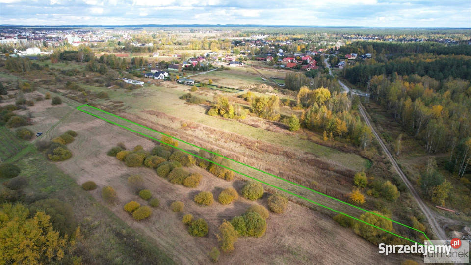 sprzedaży działki 2894 metry Korczów