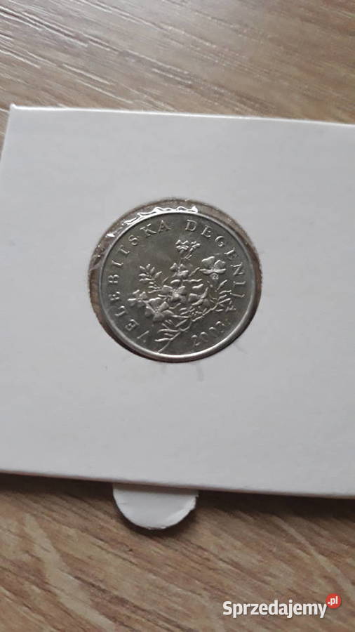 50 Lipa Chorwacja 2003 r2007 r2011 r wielkopolskie Konin