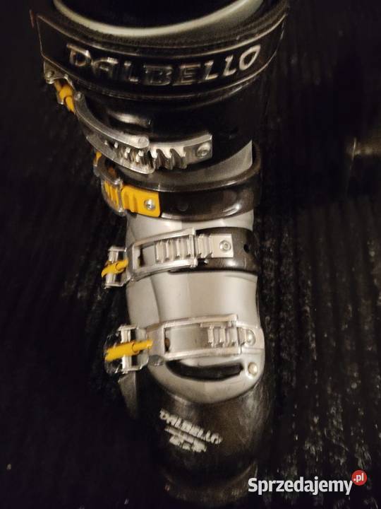 Buty narciarskie Dalbello 43 dolnośląskie Wałbrzych