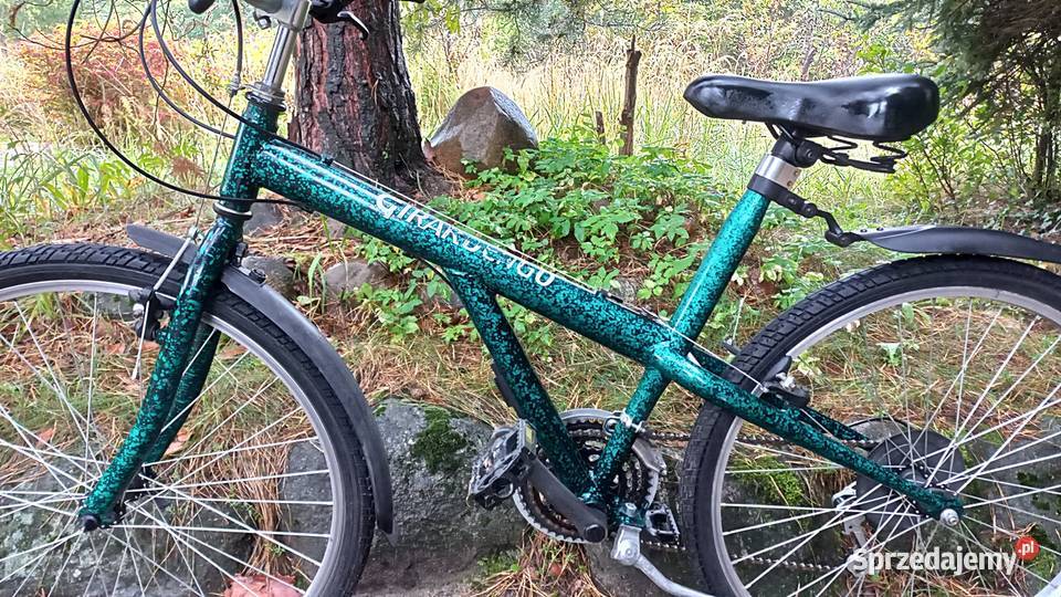 Włoski Rower Górski Mtb Retro Vintage Girardengo