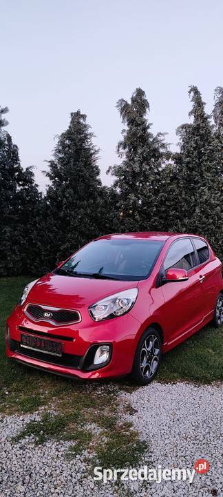 Sprzedam Kia Picanto 1 2 z Niemiec super Picanto dolnośląskie Goczałków sprzedam