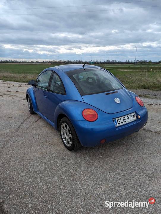 VOLKSWAGEN Beetle Cedry Małe