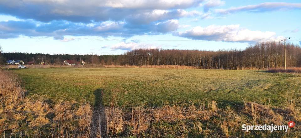 Działka rolna 98 arów z warunkami zabudowy 17 kujawsko-pomorskie Kopanino