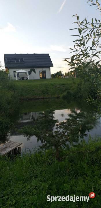 Agroturystyka stawem nocleg jura Biała Wielka
